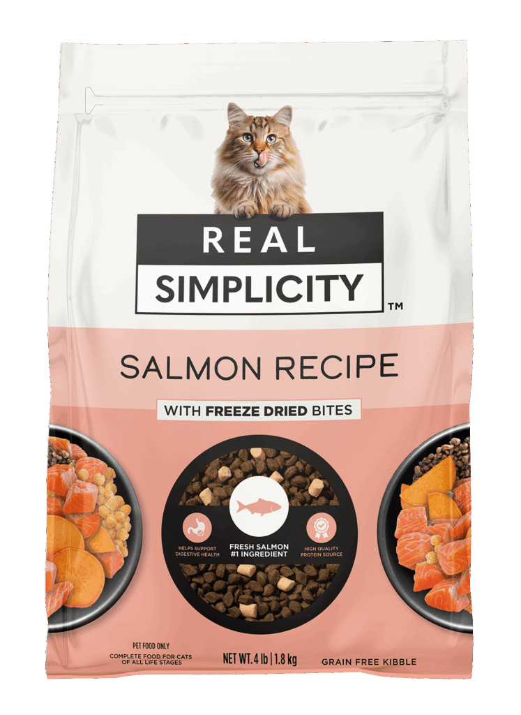 Salmon Recipe